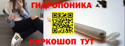 гашик Гусиноозёрск