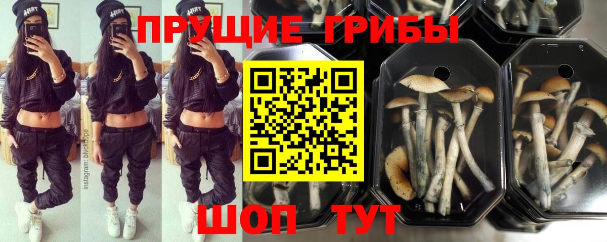 Галлюциногенные грибы MAGIC MUSHROOMS  Вход с VPN  Ликино-Дулёво 